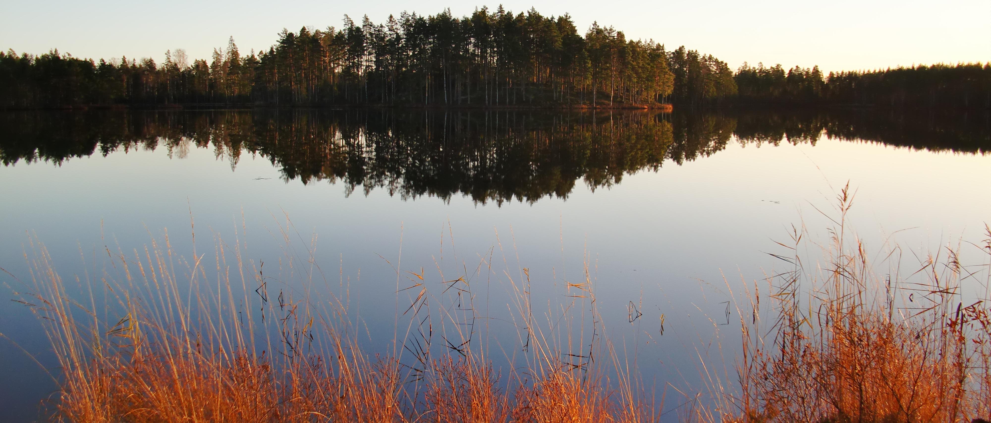 Bild på utsikt över blank sjö. Skogen på andra sidan speglas i vattnet.