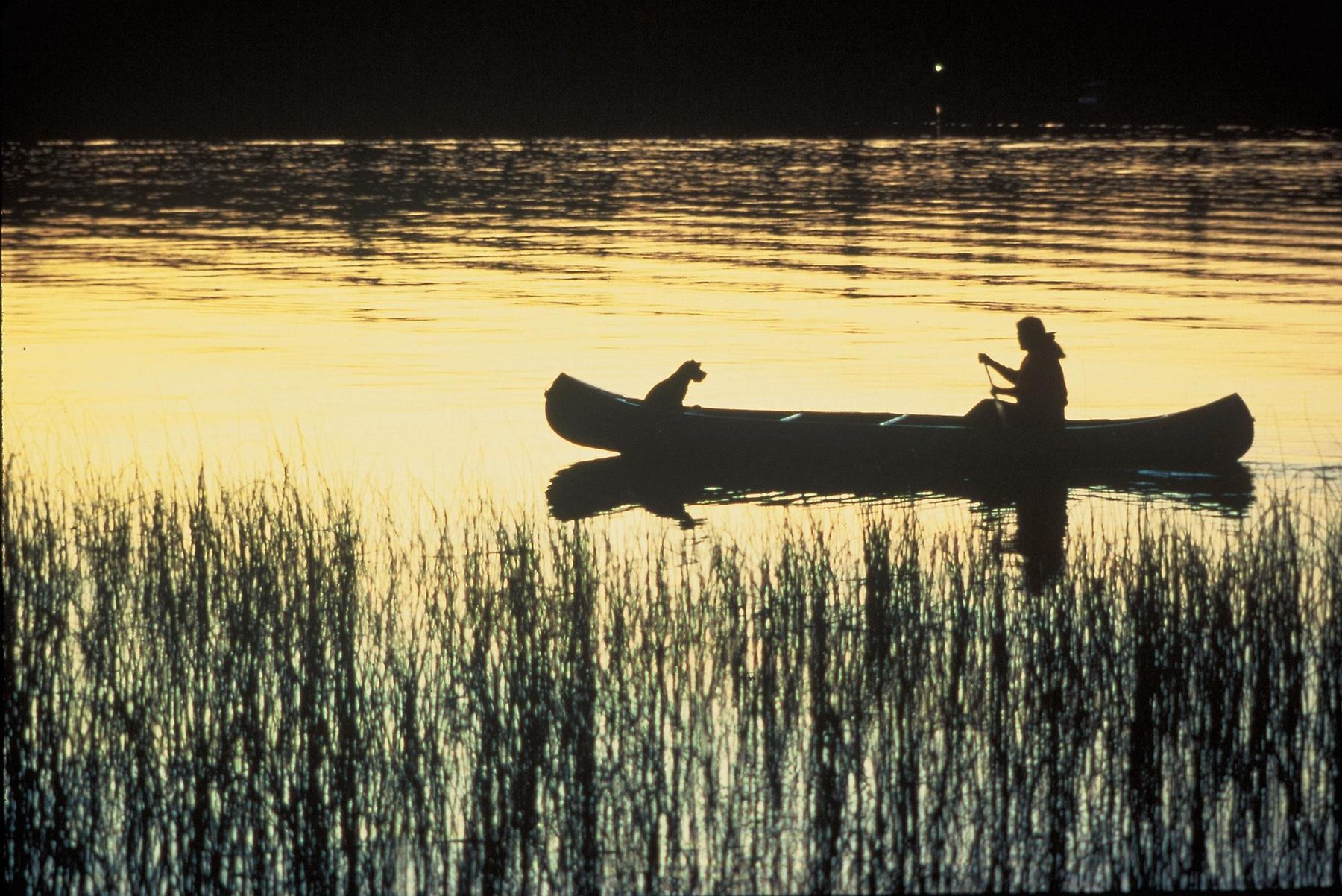 Bild på en person som paddlar kanot i solnedgång.