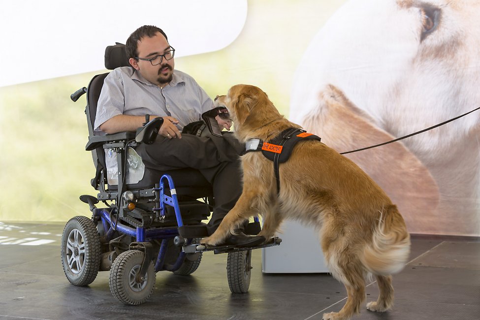 En man i rullstol som klappar på en hund.