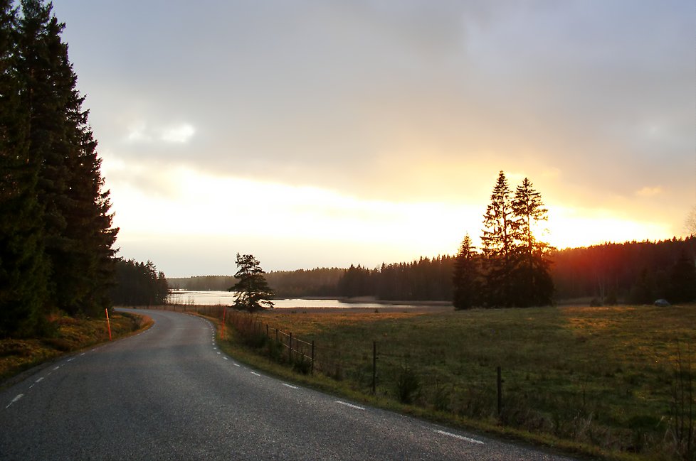 Bild på landsväg vid skog och sjö i solnedgång.